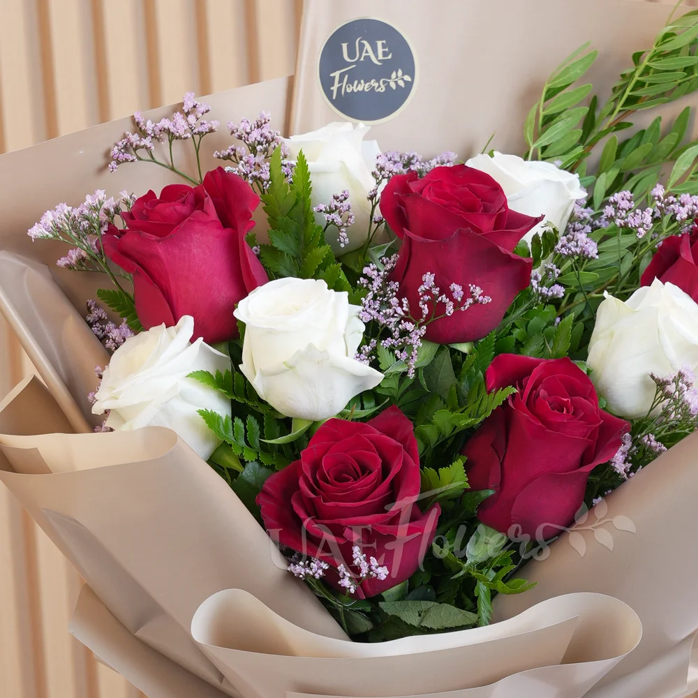 Bouquet of 10 red and white roses with green fillers in wrapping paper and tied with ribbons.
